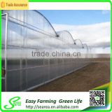 Polycarnonate sheeting greenhouse for sale