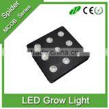 Medical Herbs Greenhouse Garden High Power 810 Watt COB Led Grow Lights