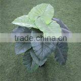 Brand Name Artificial Bonsai Plants Artificial Wild Taro Bonsai Decor thumbnail-4