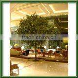 Plastic Plant, Plastic Tree,arificial Banian Tree