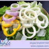 3-7cm Diameter Frozen Squid Ring thumbnail-3
