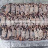BQF Frozen Cut Swimming Crab for Sale With HACCP Certification thumbnail-6