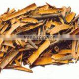 CINNAMON thumbnail-1