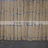 Rattan Malacca Cane Pole thumbnail-1