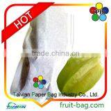 carambola star fruit taiwan white paper bag averrhoa carambola paper bag taiwan