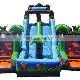 Inflatable Obstacle Course