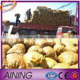 PP and PE Vegetables Woven Mesh Bags 60x90 cm 25-50kg thumbnail-5