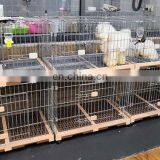 MY-W068B Pet Supplies Trolley Puppy Dog Cat Rat Carriers Small Pet Cages for Sale thumbnail-5