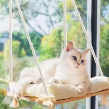 Solid Wood Seat & Strong Suction Cups Cat Window Bed & Furniture for Cat Hammock Inside Hanging Window Shelf Cat Window Peach thumbnail-1