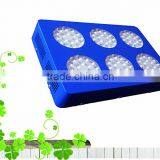 Apollo 6 LED grow light 200w 270w 300w full spectrum grow light deep penetration