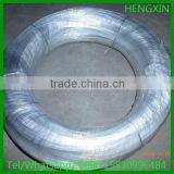 Best Quality Electro Galvanized Iron Wire(Fctory Price)