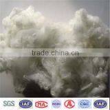 Polyester Staple Fibre thumbnail-1