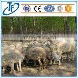 Professional Manufacturer Cheap Galvanized Wire Farm Fence for Cattle/sheep thumbnail-2