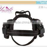 2015 New Dog Backpack, Backpack for Dog, Waterproof Fabric thumbnail-2