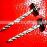 Tanzania Market Surface Elcecto Galvanzied Twisted Nails thumbnail-2