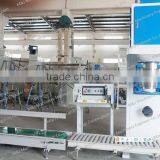 Plastic Bags Filling and Sealing Machine