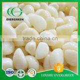 Chinese Garlic Professional Supplier Flavorful Garlic Cloves In Brine