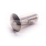 Solid Rivets thumbnail-1