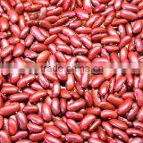 Kidney Beans thumbnail-1