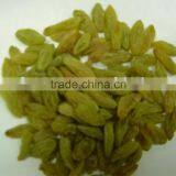 Jumbo Raisins thumbnail-1