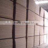 Standard Paper Faced Gypsum Board for Drywall thumbnail-5