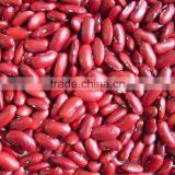 Cannned Red Kidney Beans White Kidney Bean Chinese Kidney Beans thumbnail-3