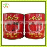 African tomato paste,canned fruit