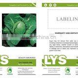 C40 ZG No.11 Early Maturity f1 Hybrid 50 Days Round Cabbage Seeds thumbnail-2