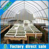 Single span high tunnel greenhouse for seedling