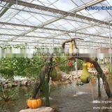 Polycarbonate Sheet Covered Greenhouse (ISO9001:2000) thumbnail-1