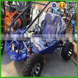 Cheap Racing go Kart for Sale ( 250K-9) thumbnail-1