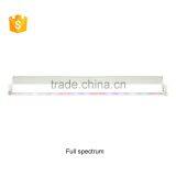 Single 3W Chip LED Grow Light Tube for Indoor Growth thumbnail-5