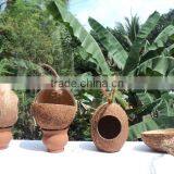 Coconut Shell Bird Feeder thumbnail-1