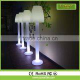 LED color light lamp,remote colorful lamp,indoor/outdoor ball lamp