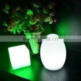 Egg Shaped Party Led Light
