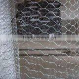 Hexagonal Chicken Wire Mesh,chain Link Fence,stainless Steel Wire Mesh,black Wire,common Nail (Dingzhou Factory)