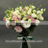 2017 New Cut Fresh Eustomas With Factory Price thumbnail-3