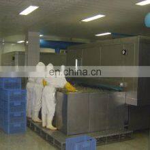 Automatic IQF Shock Freezer Machine Fruits Vegetables Foods Instant Freezer Tunnel Machinery Good Price for Sale thumbnail-3