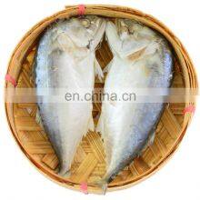 IQF Frozen Indian Mackerel Fish thumbnail-2
