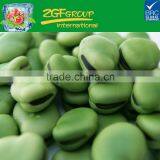 IQF Frozen Green Broad Beans thumbnail-2
