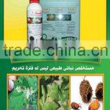 Tuta Absoluta FATTAK2 thumbnail-1