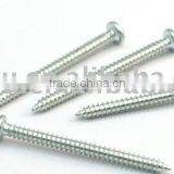Self Tapping Screw