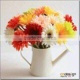 EU Standard Chrysanthemum Flower thumbnail-1