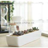 2016 Hot-sell Wholesale Price Artificial Tropical Mini Succulent Plant Pot Porcelain Flower Pot in Garden thumbnail-3