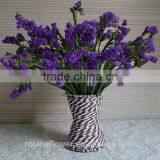 Best Selling Natural Myosotis Sylvatica Flower thumbnail-3