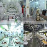 Xiamen East Ocean Fishery Co., Ltd. company overview - view 3 thumbnail
