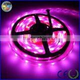 12v Ink1003 Led Strip Production Machine