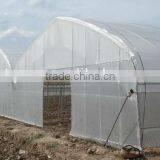 Plastic Film Greenhouse Polyethylene Film Multi Span Agriculture Greenhouse thumbnail-3