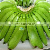 Fresh Green Banana thumbnail-1