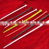Plastic Cable Tie for Cars
